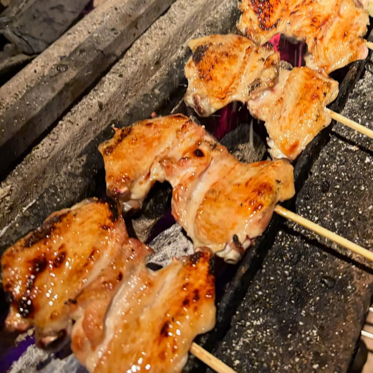『本格炭火焼き鳥』小田急沿線、成城学園前駅付近でコスパ最高な...